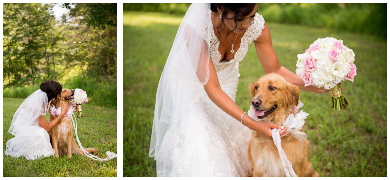 dog as flower girl for farm wedding