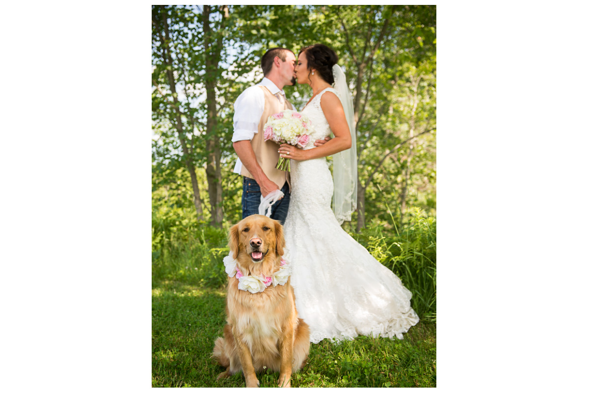bride and groom with golden retriever dog on wedding day
