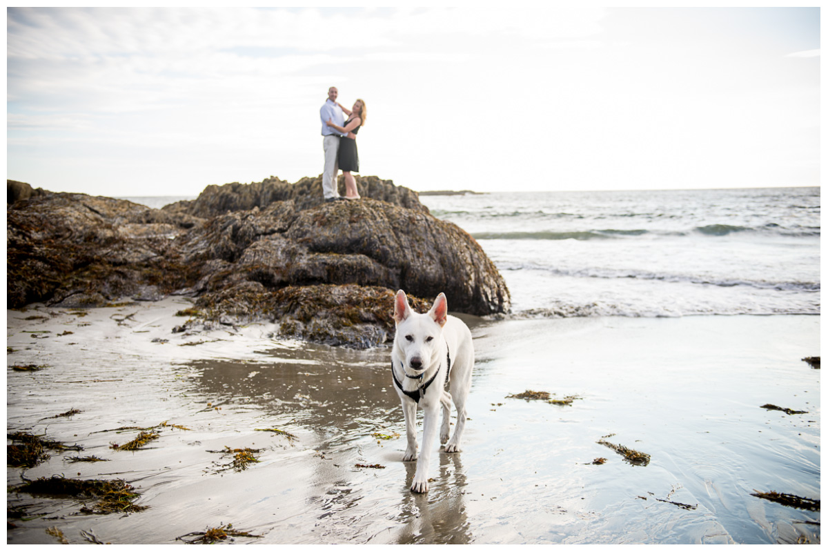including dogs in engagement photos