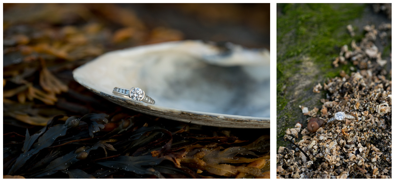 engagement ring in seashells 