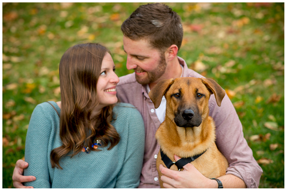 loving couple with dog in cape elizabeth park