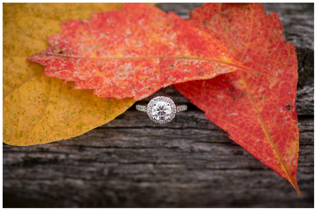 engagement ring in red and yellow leaves on reclaimed wood