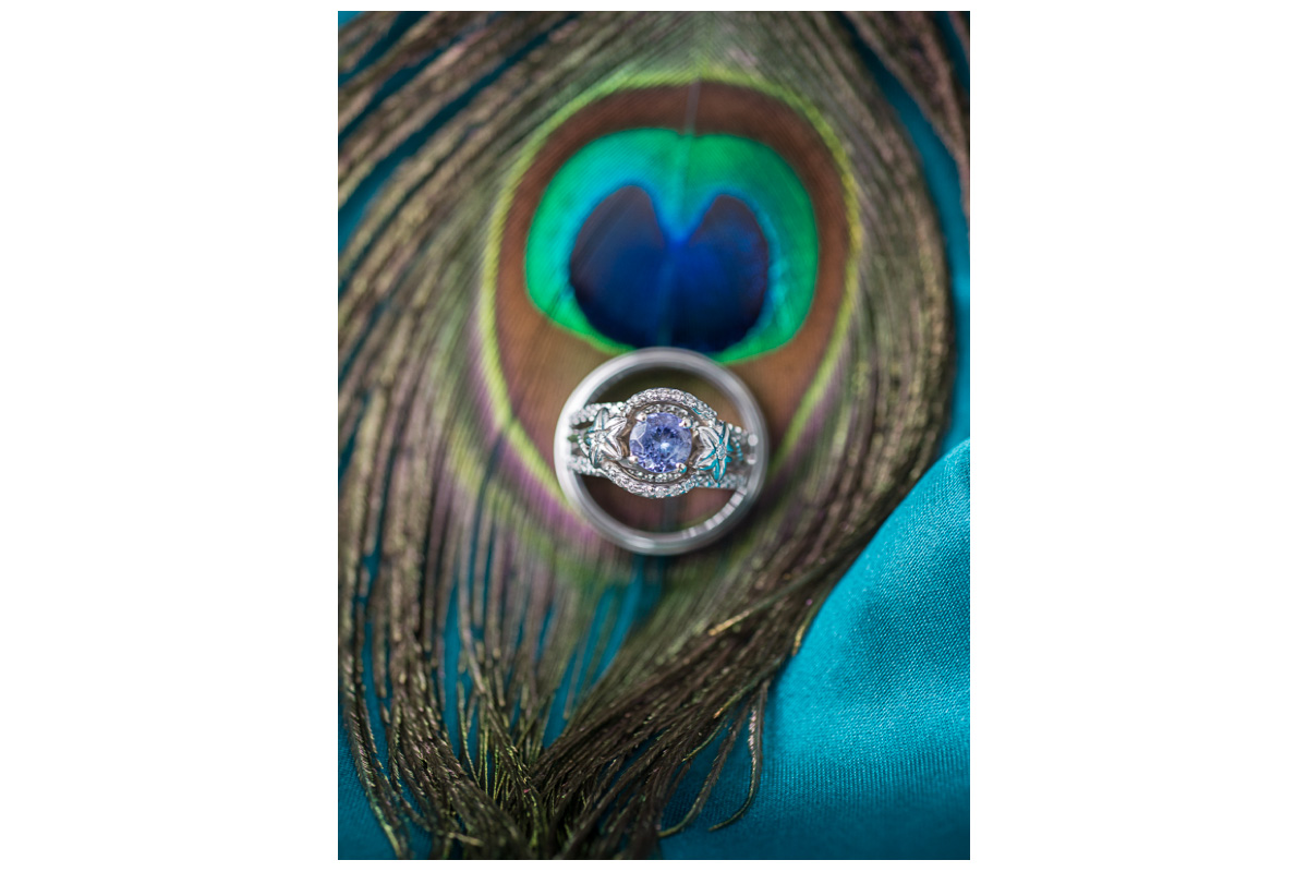 peacock feather with wedding rings