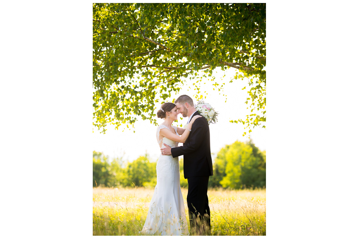 timeless wedding photo of bride and groom under a tree