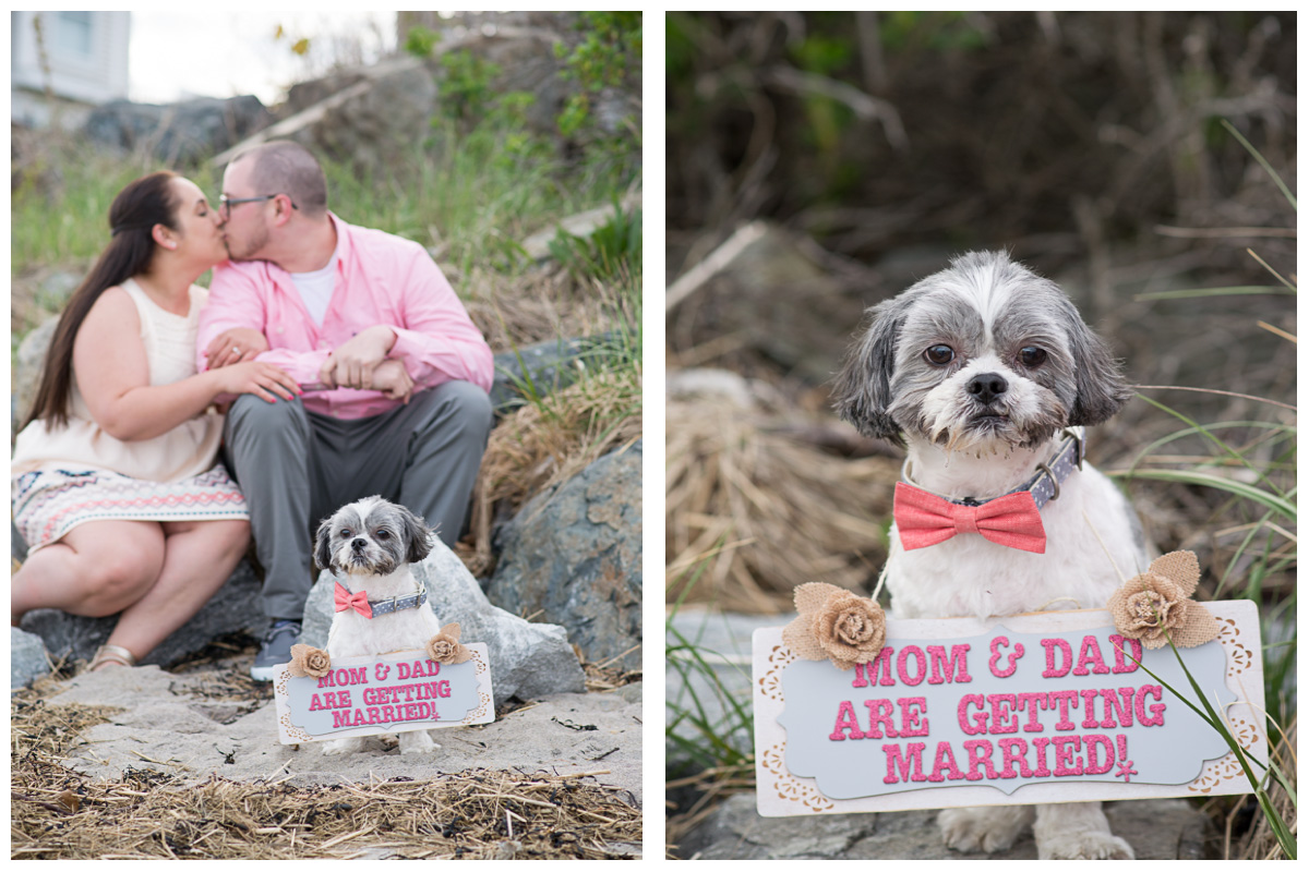 dog with sign and pink bow tie during engagement photos in New Hampshire