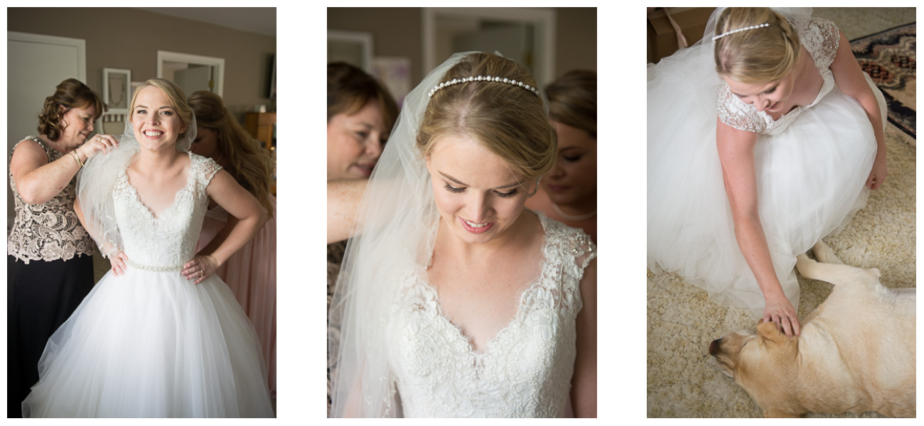 bride in wedding dress with dog