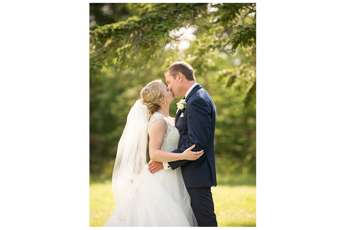 bride and groom kissing under a tree 