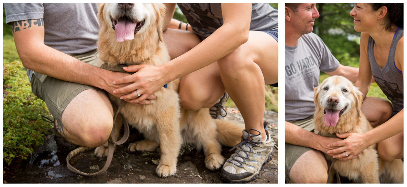 engagement ring with dog