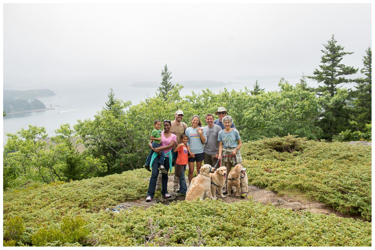 Mountain top engagement proposal including family and dogs