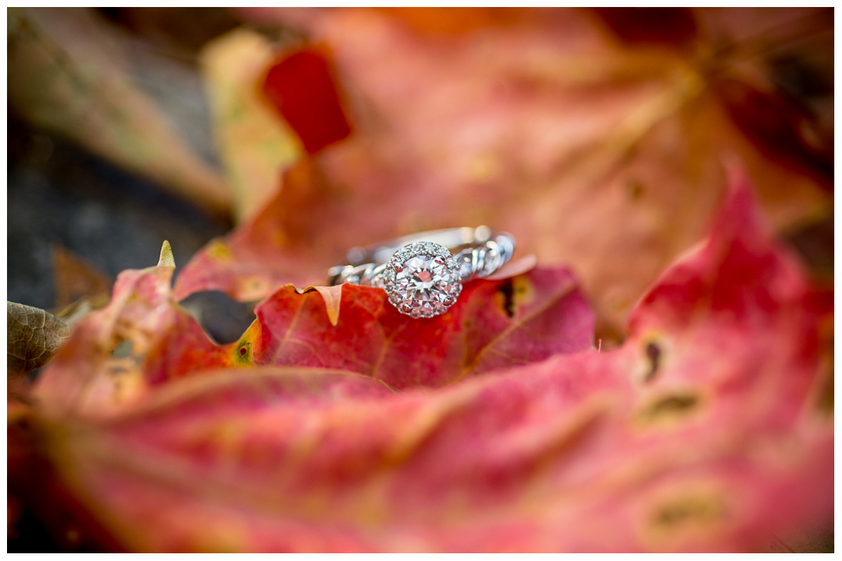 Bright Engagement Ring Photo with fall leaves